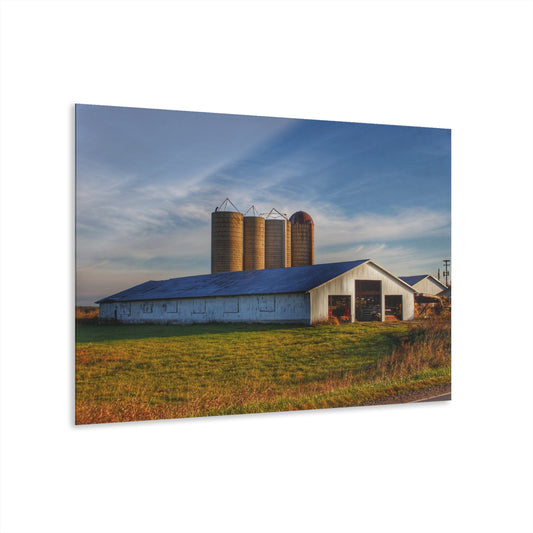 U R There Photography Peck White and Silos Rustic Farmhouse Acrylic Wall Print