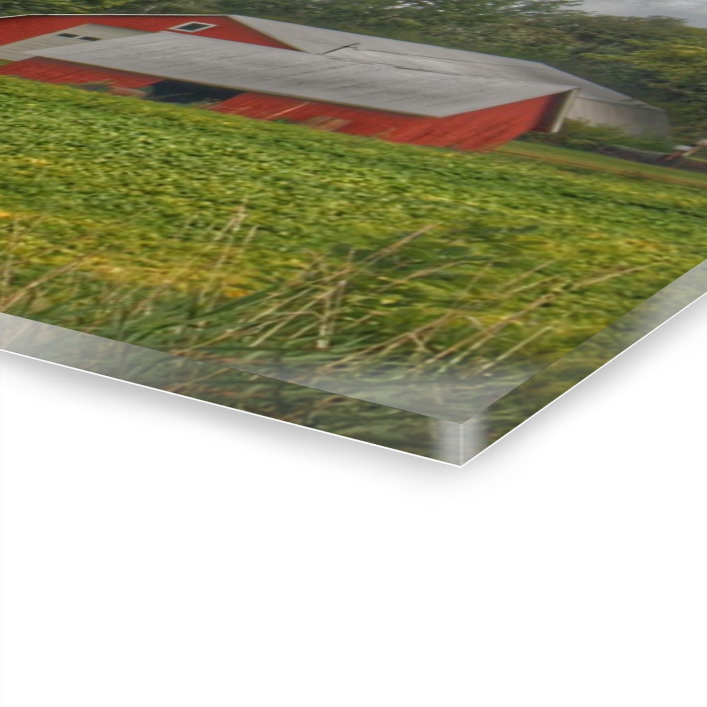 U R There Photography Kingston Road Trio I Rustic Farmhouse Acrylic Wall Print