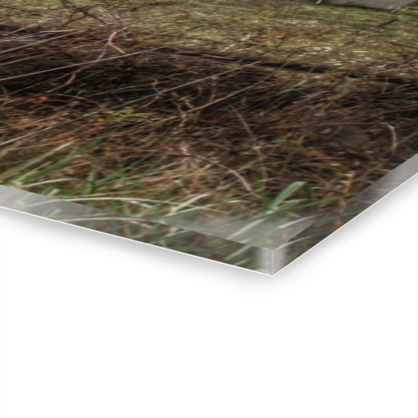 U R There Photography Green Road Grey Rustic Farmhouse Acrylic Wall Print