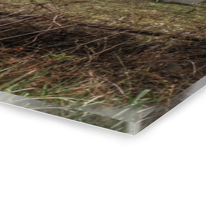 U R There Photography Green Road Grey Rustic Farmhouse Acrylic Wall Print