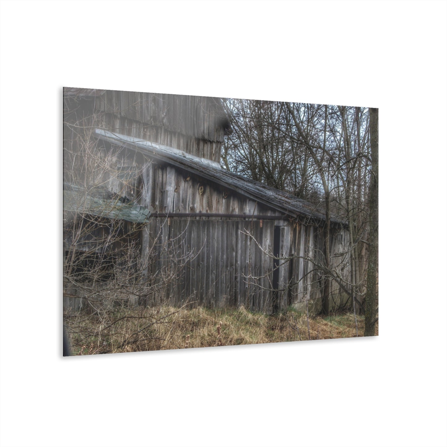 U R There Photography Rural Decay in Early Spring Rustic Farmhouse Acrylic Wall Print