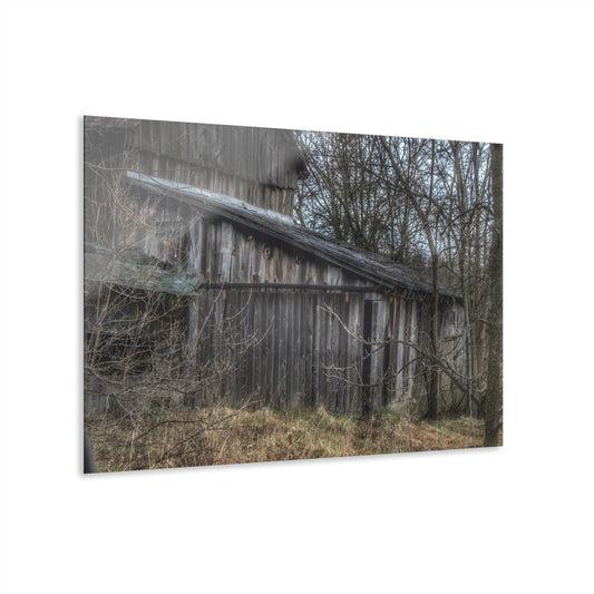 U R There Photography Rural Decay in Early Spring Rustic Farmhouse Acrylic Wall Print