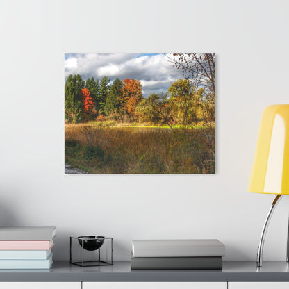 U R There Photography Fall Pond on Sutton Road Rustic Farmhouse Acrylic Wall Print