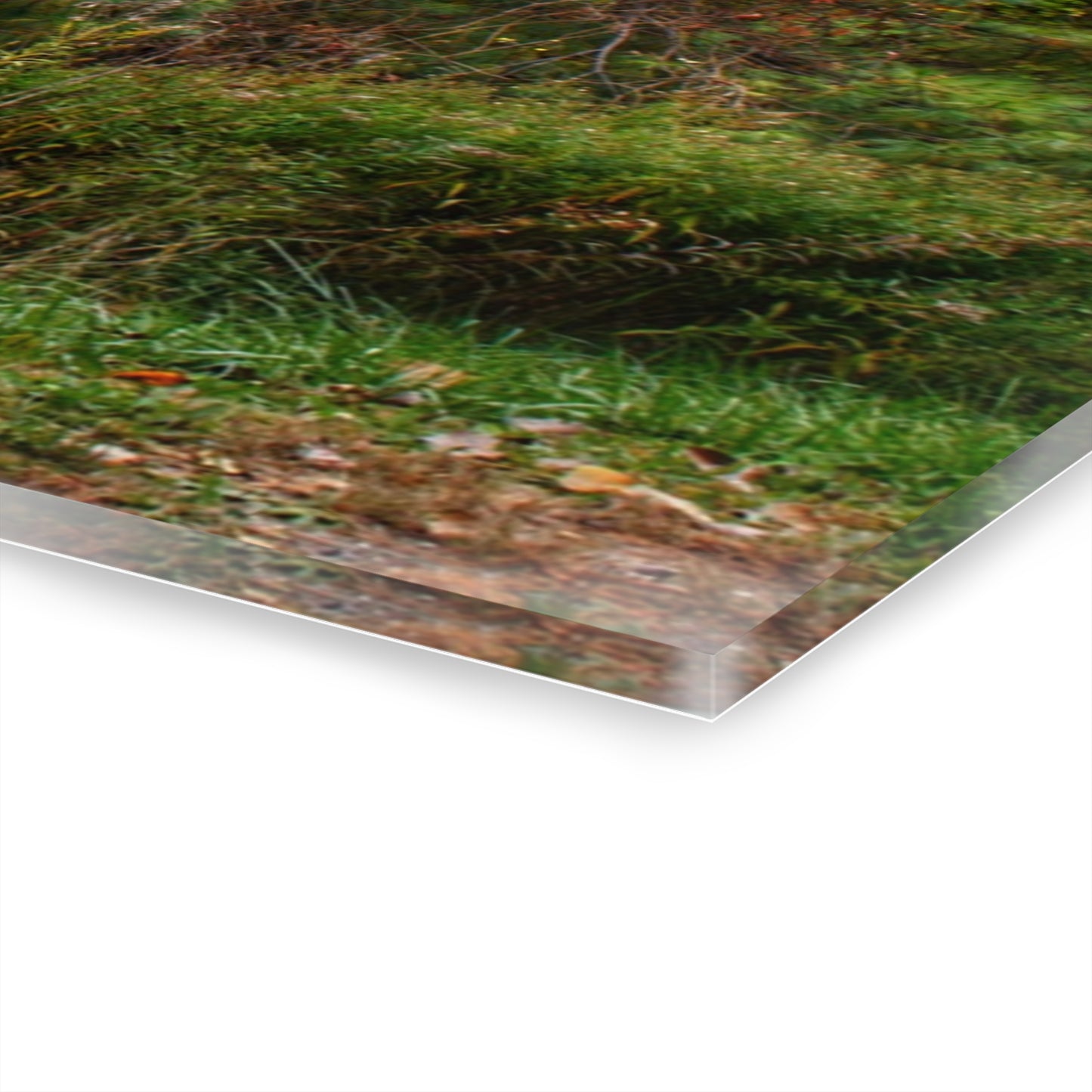 U R There Photography Green Corners Road Hidden Red Rustic Farmhouse Acrylic Wall Print