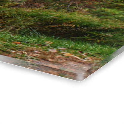 U R There Photography Green Corners Road Hidden Red Rustic Farmhouse Acrylic Wall Print