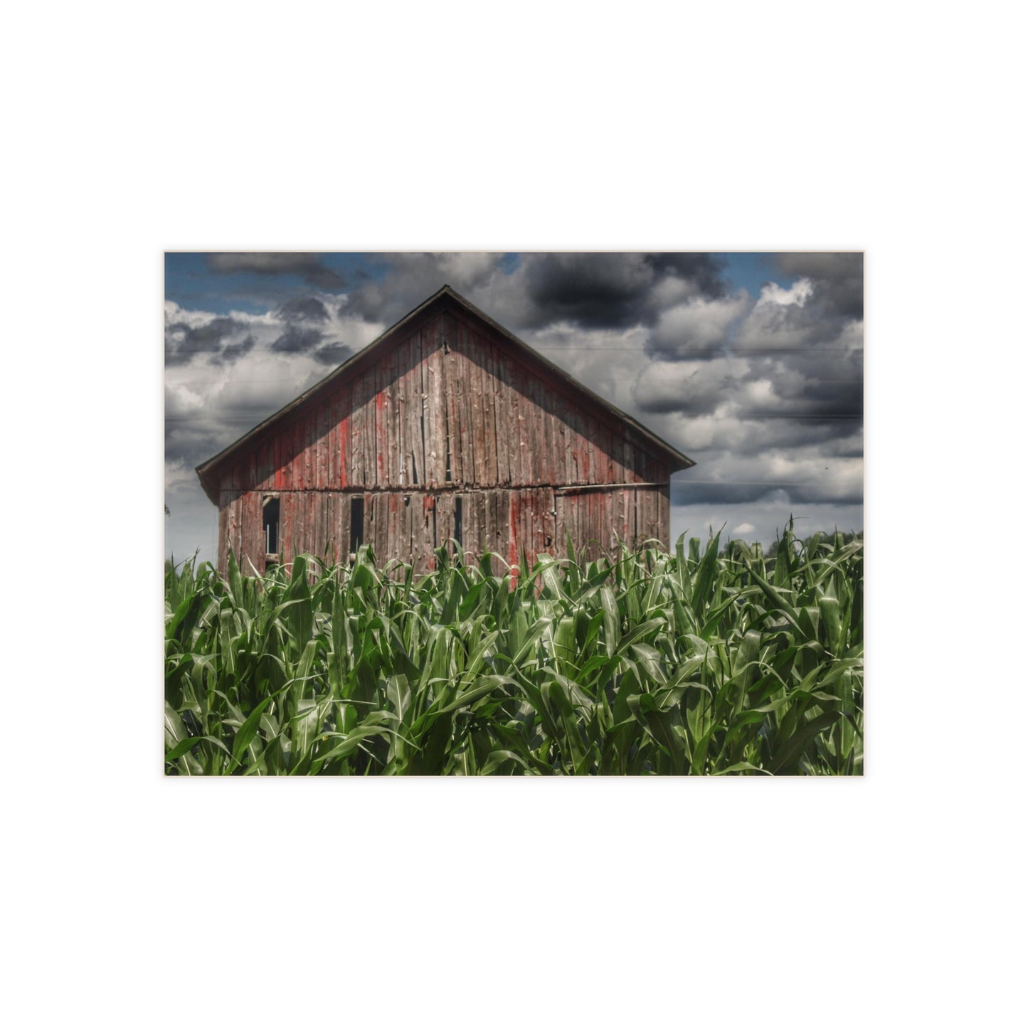 U R There Photography Above the July Corn Rustic Farmhouse Decorative Ceramic Tile