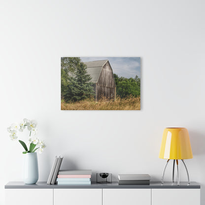 U R There Photography Seymour Lake Road Hidden Grey Rustic Farmhouse Acrylic Wall Print