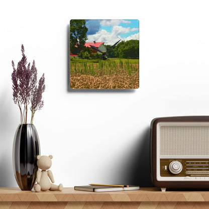 U R There Photography Northern White Rustic Farmhouse Acrylic Analog Wall Clock
