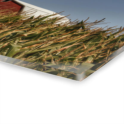 Beyond the Corn Rustic Farmhouse Acrylic Wall Print
