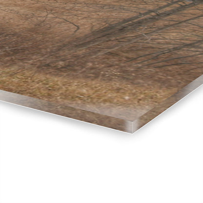 U R There Photography Grey Road Hillside Red I Rustic Farmhouse Acrylic Wall Print