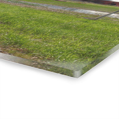 U R There Photography McDowell Road Reds II Rustic Farmhouse Acrylic Wall Print