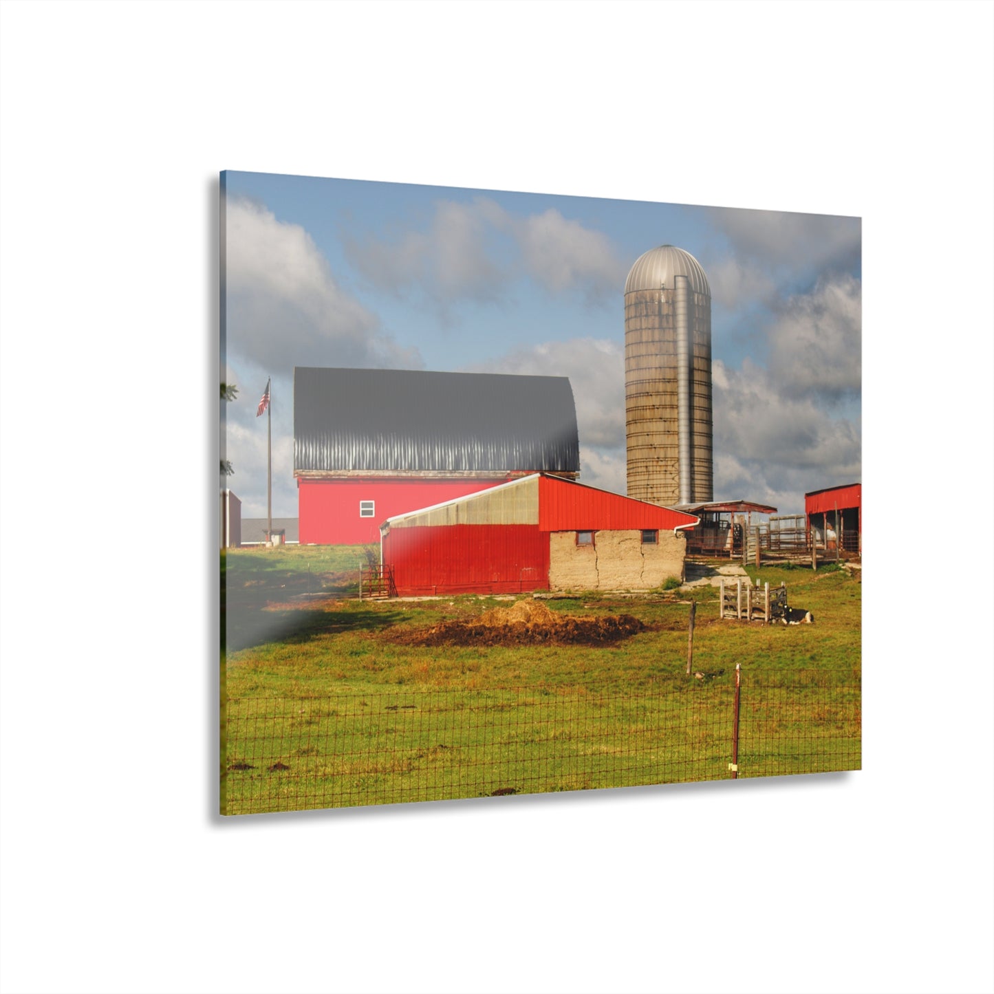 U R There Photography Kingston Checkerboard Farm Rustic Farmhouse Acrylic Wall Print