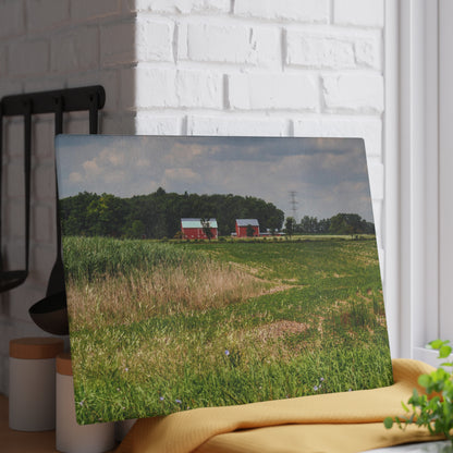 U R There Photography Across the Field in Elba II Rustic Farmhouse Tempered-Glass Cutting Board