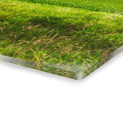 U R There Photography North Graf Road Old Grey Rustic Farmhouse Acrylic Wall Print