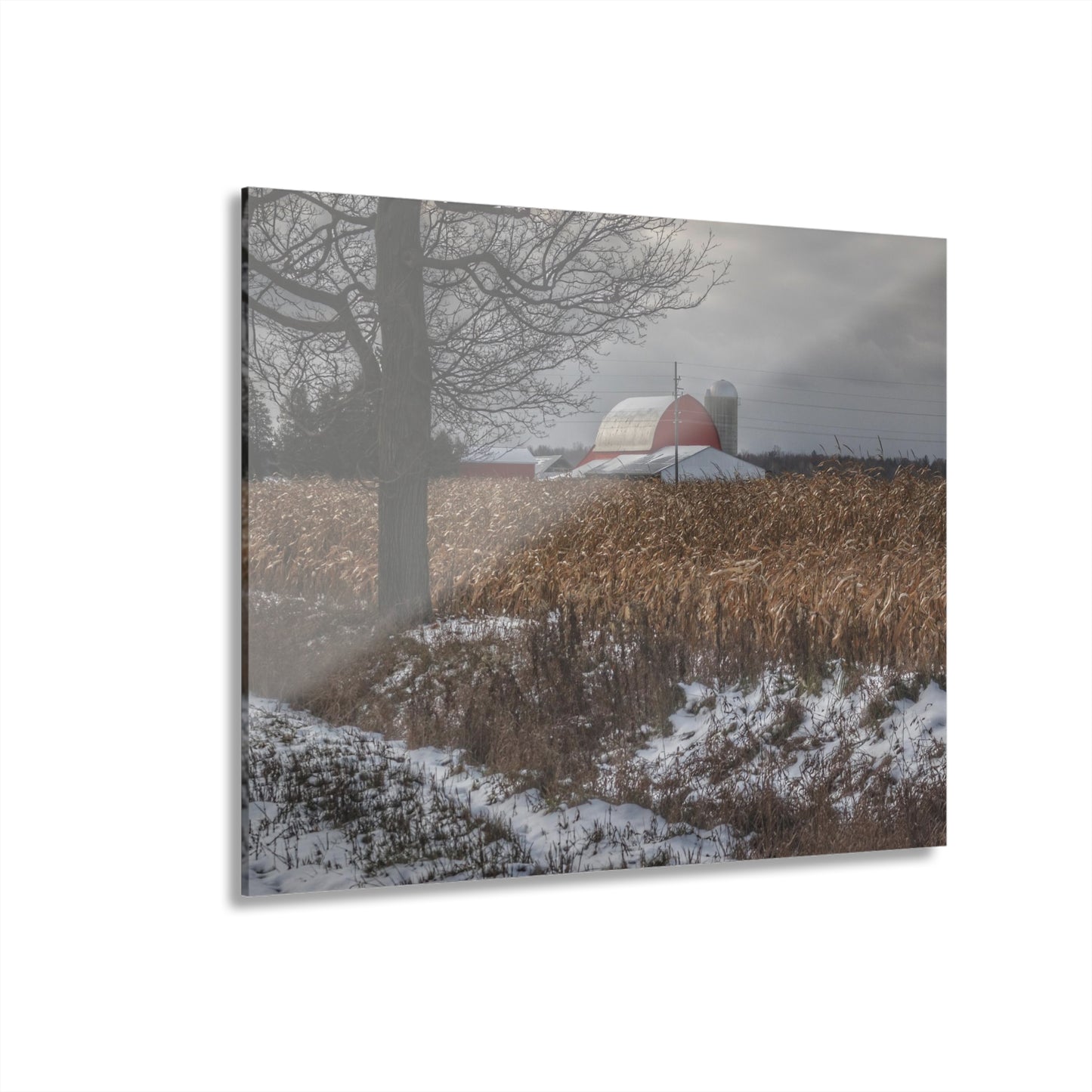 U R There Photography Edward Road Red Rustic Farmhouse Acrylic Wall Print