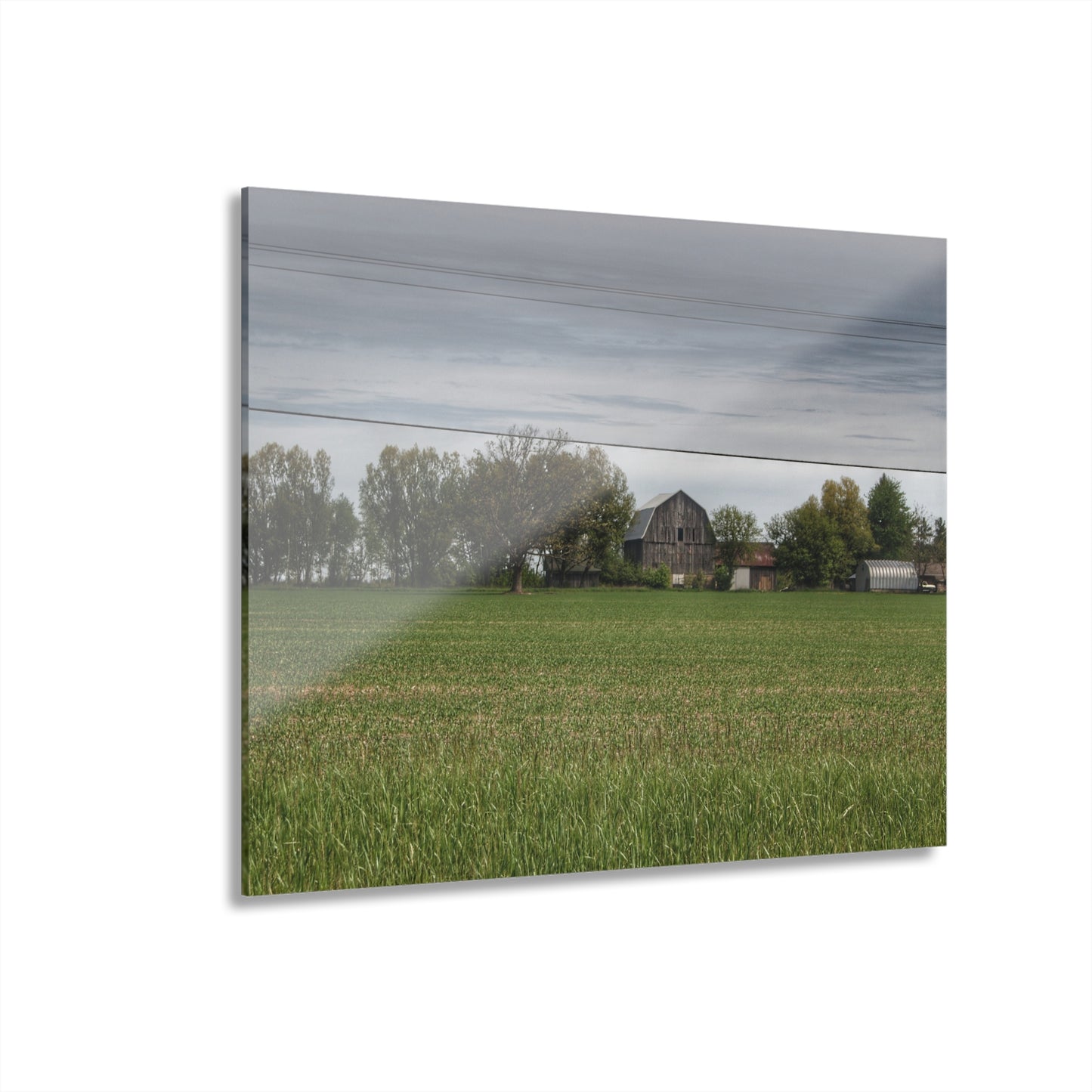 U R There Photography Old Grey Across the Field Rustic Farmhouse Acrylic Wall Print