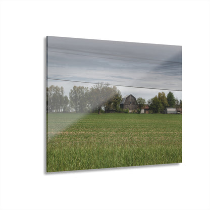 U R There Photography Old Grey Across the Field Rustic Farmhouse Acrylic Wall Print