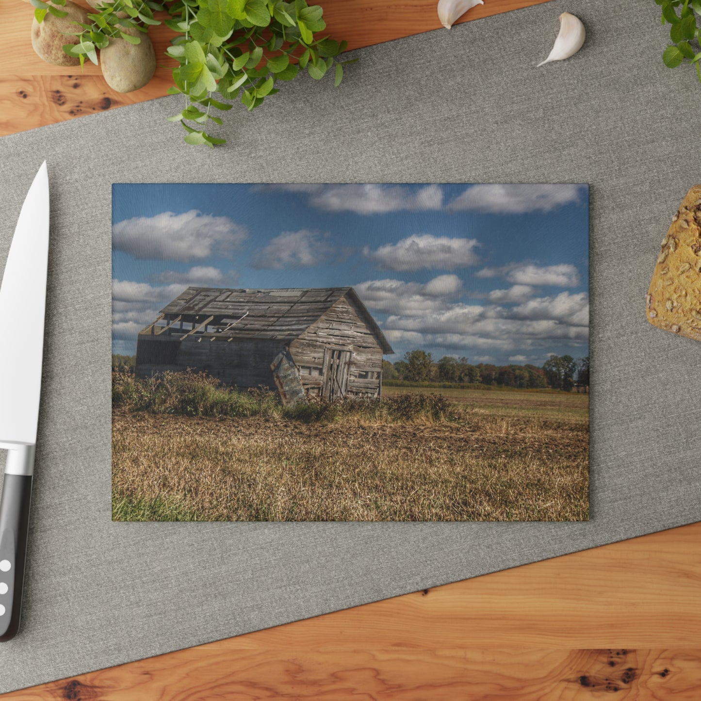 U R There Photography Freiberger Road Little Grey Shack Rustic Farmhouse Tempered-Glass Cutting Board