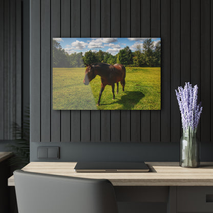 U R There Photography Brown Beauty II Rustic Farmhouse Acrylic Wall Print