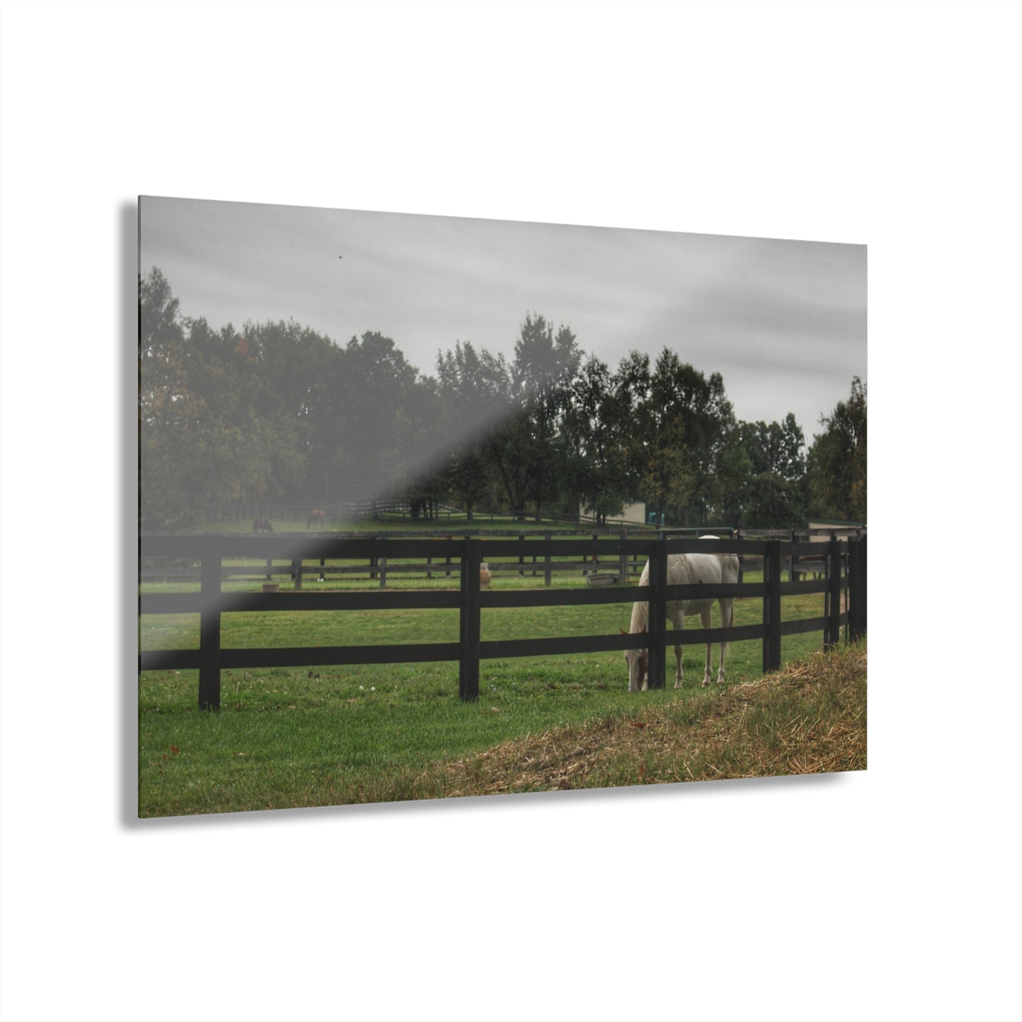 Barn Boutique Modern Farmhouse Acrylic Wall Print| Beyond the Fence White