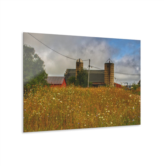 U R There Photography Brown Road Hidden Reds Rustic Farmhouse Acrylic Wall Print