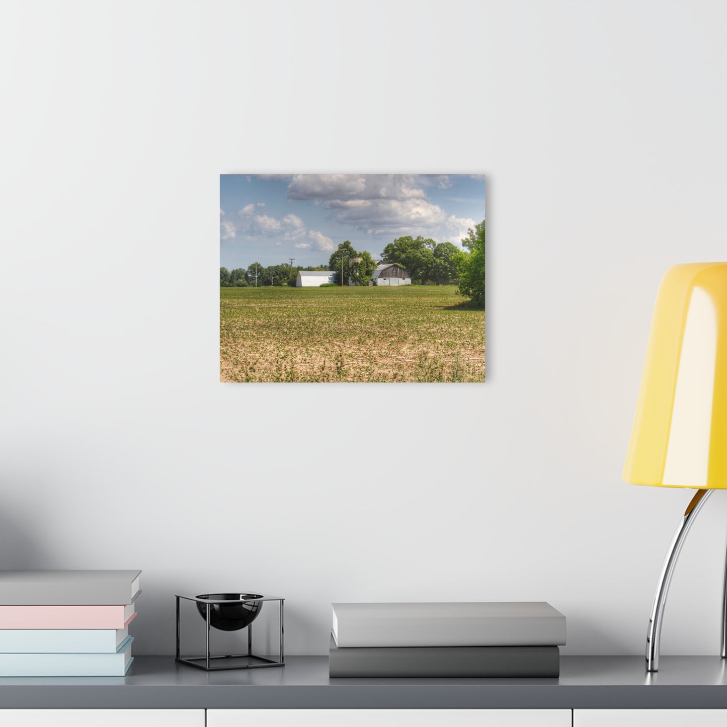 U R There Photography Willard Road White Rustic Farmhouse Acrylic Wall Print