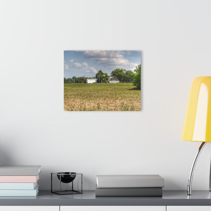 U R There Photography Willard Road White Rustic Farmhouse Acrylic Wall Print