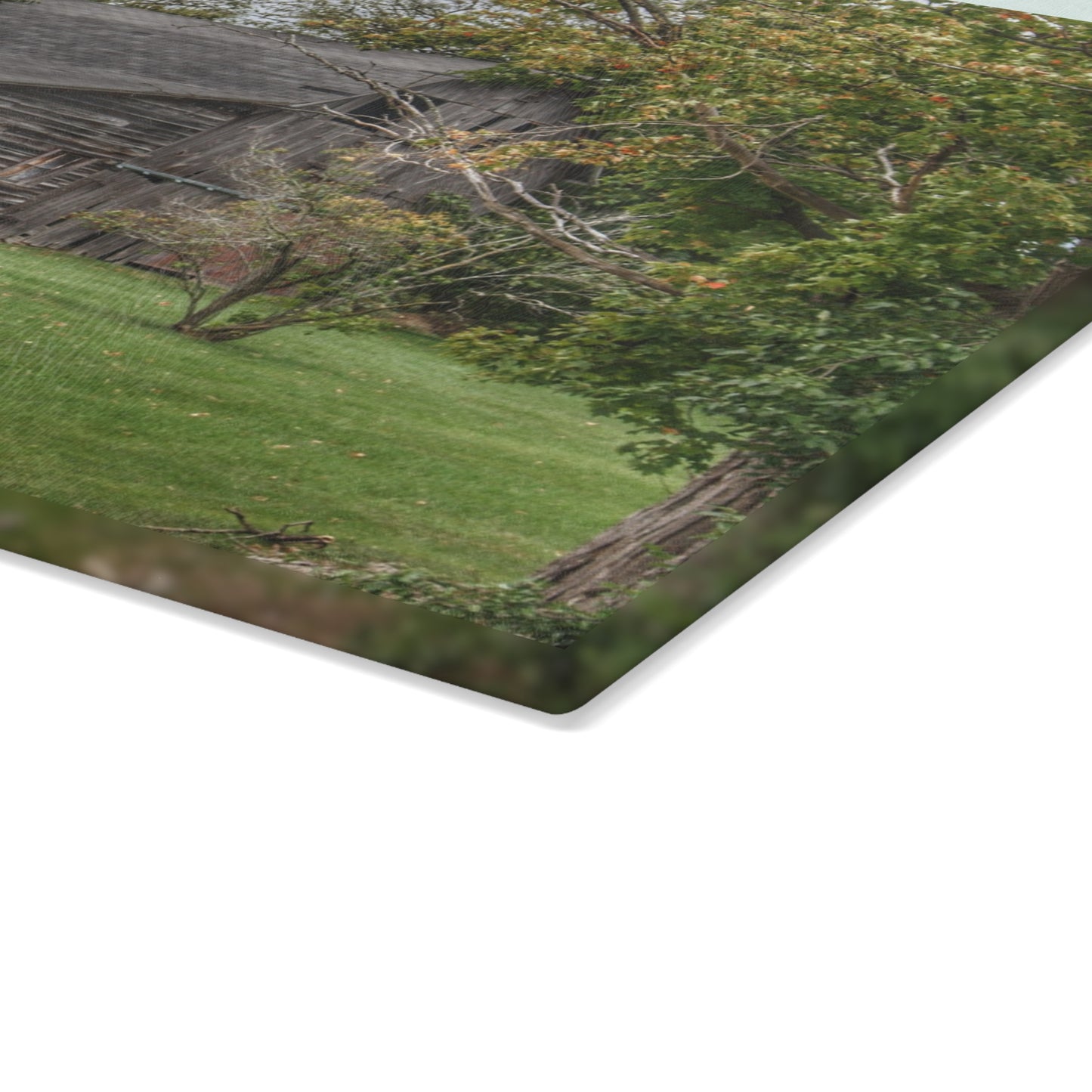 U R There Photography Hayes Road Hidden II Rustic Farmhouse Tempered-Glass Cutting Board