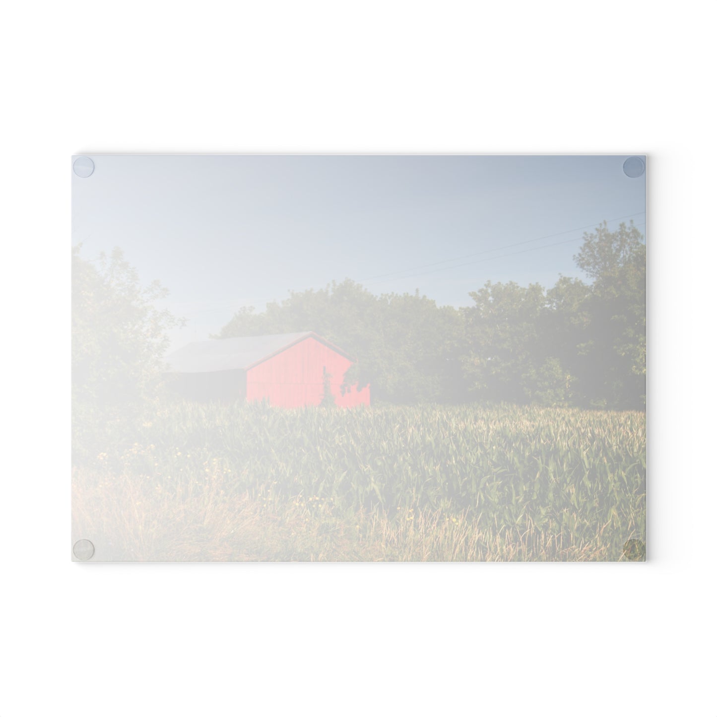 U R There Photography Willard Road Red II Rustic Farmhouse Tempered-Glass Cutting Board