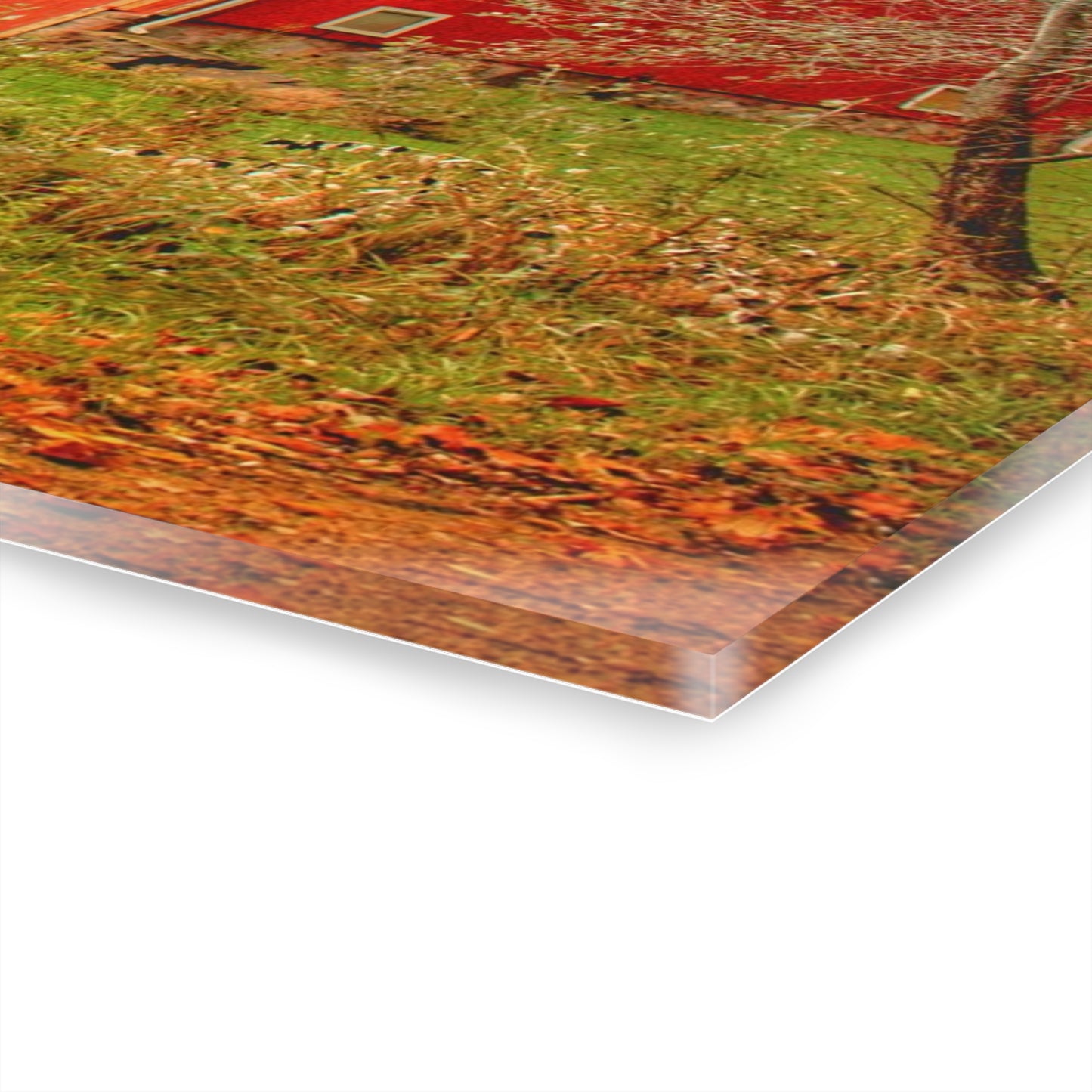 U R There Photography Cramton Road Reds I Rustic Farmhouse Acrylic Wall Print