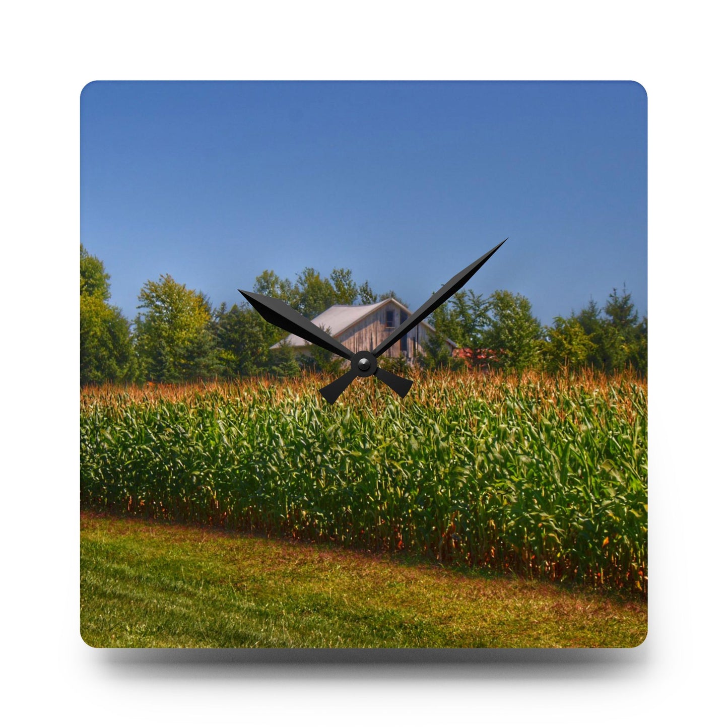 U R There Photography Beyond the Corn on Birch Road Run Rustic Farmhouse Acrylic Analog Wall Clock