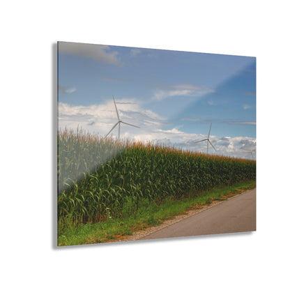 U R There Photography Gilford Road Corn Row Rustic Farmhouse Acrylic Wall Print