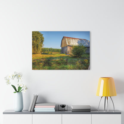 U R There Photography Snover Golden Grey Rustic Farmhouse Acrylic Wall Print