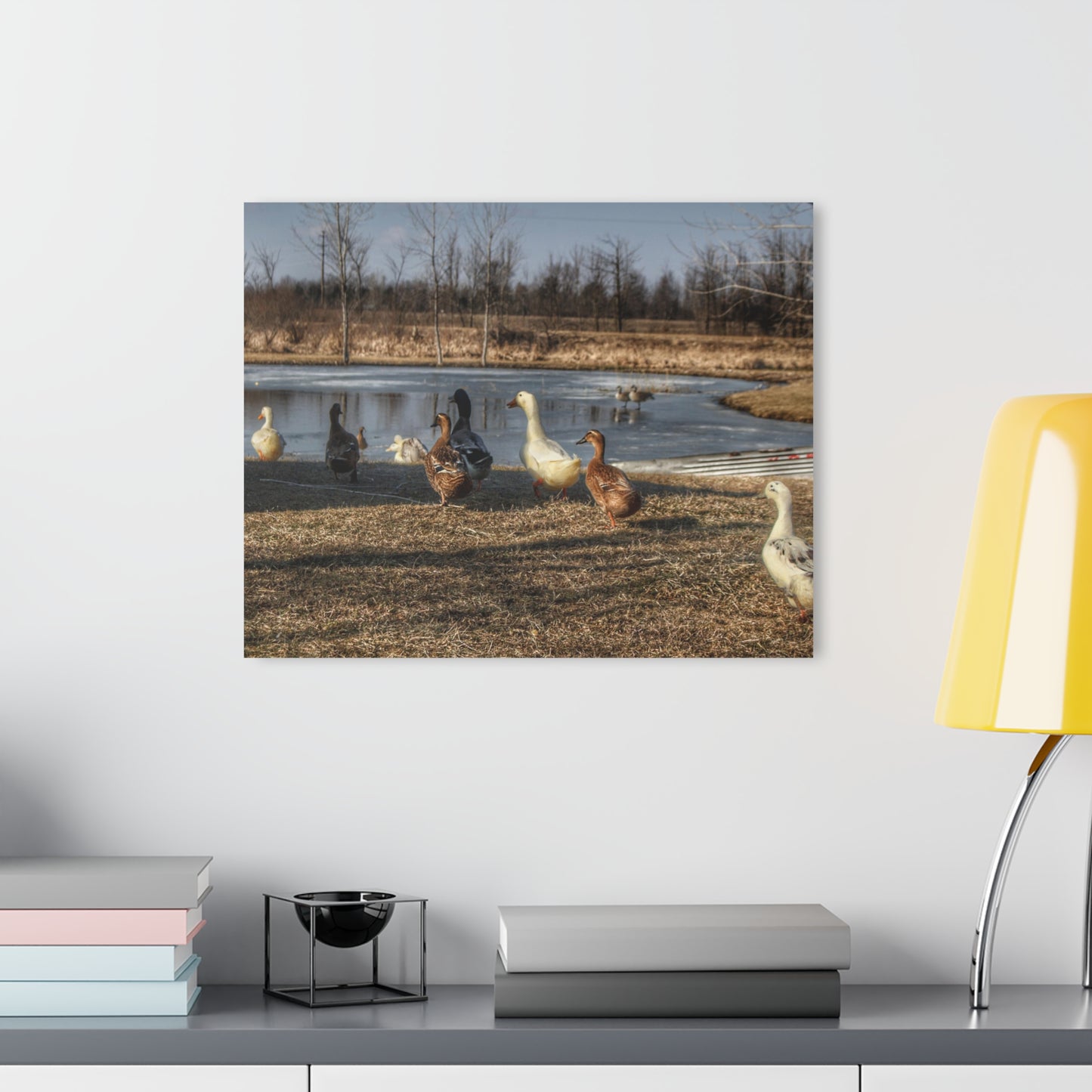 Barn Boutique Modern Farmhouse Acrylic Wall Print| Ducks of Wheeling Road I