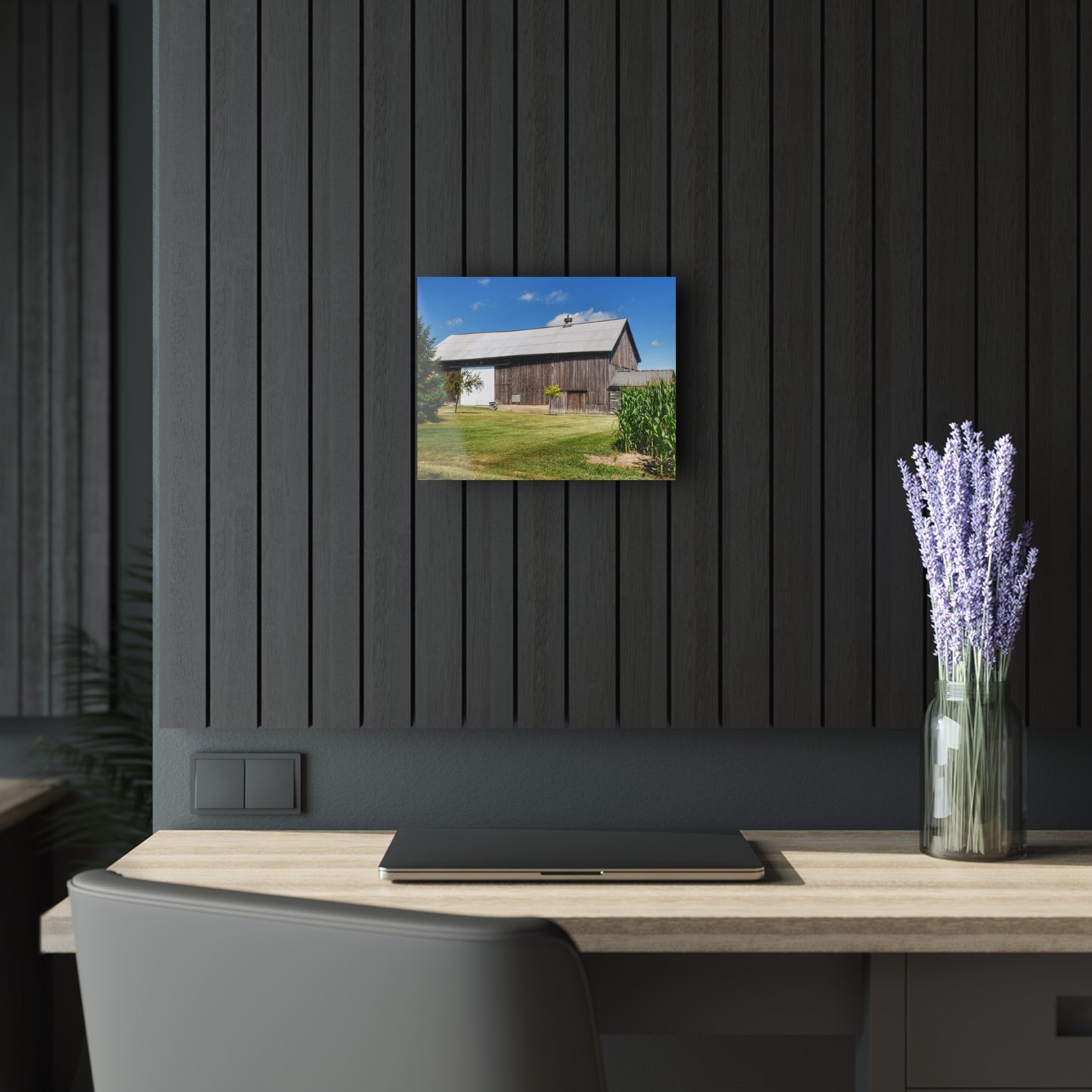 U R There Photography Frog Barn Rustic Farmhouse Acrylic Wall Print