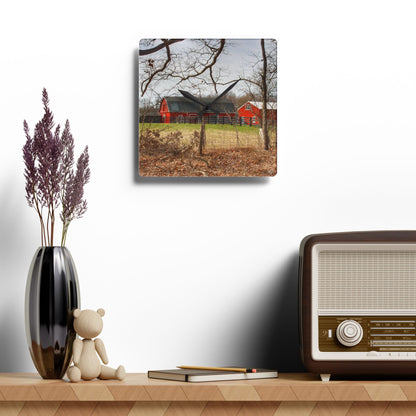 U R There Photography Hidden Hosner Reds Rustic Farmhouse Acrylic Analog Wall Clock