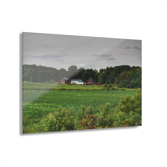 U R There Photography Across the Field in Silverwood Rustic Farmhouse Acrylic Wall Print