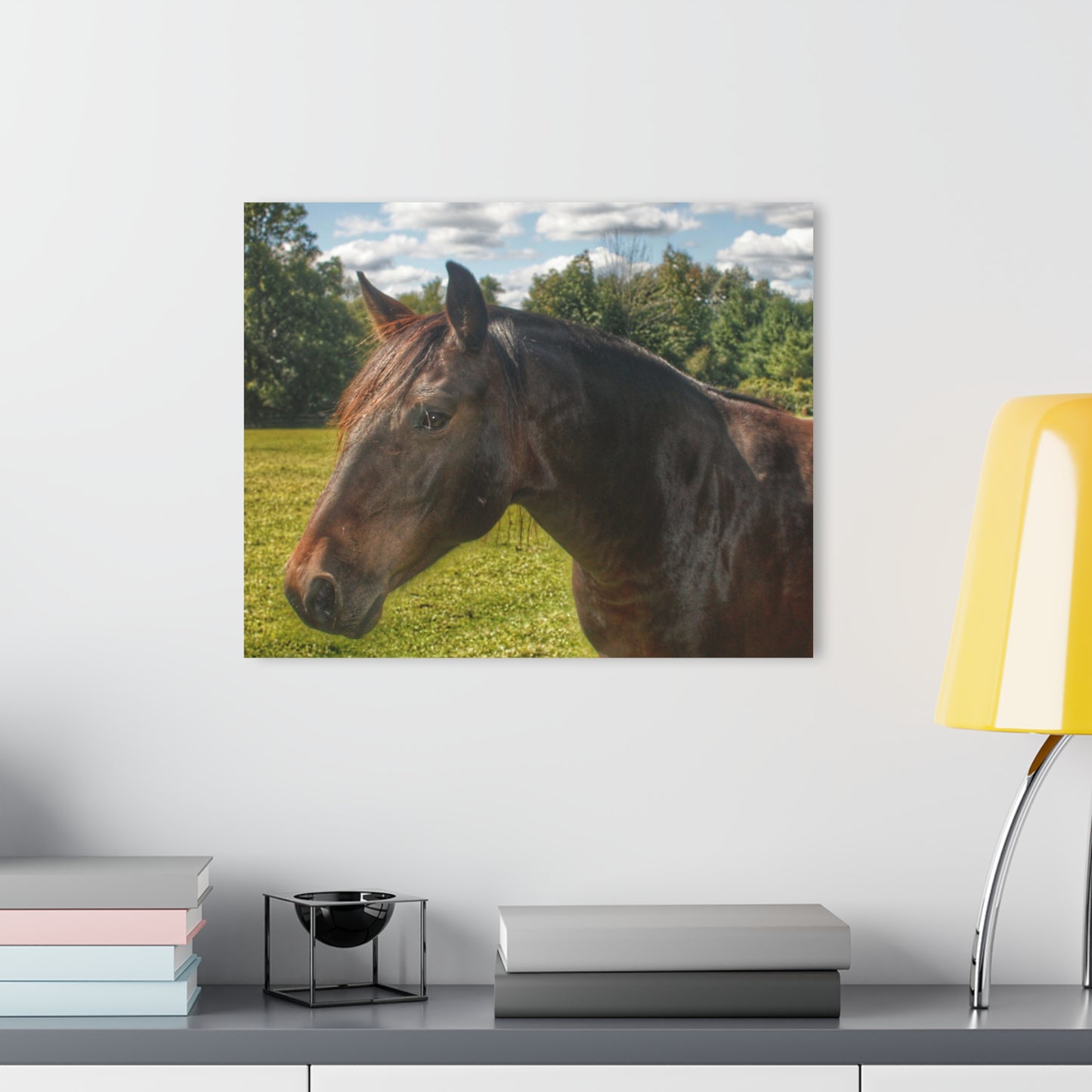 U R There Photography Brown Beauty I Rustic Farmhouse Acrylic Wall Print