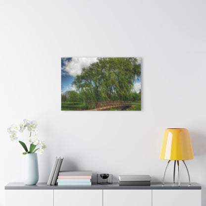 Barn Boutique Modern Farmhouse Acrylic Wall Print| Cramton Park Bridge in Lapeer II