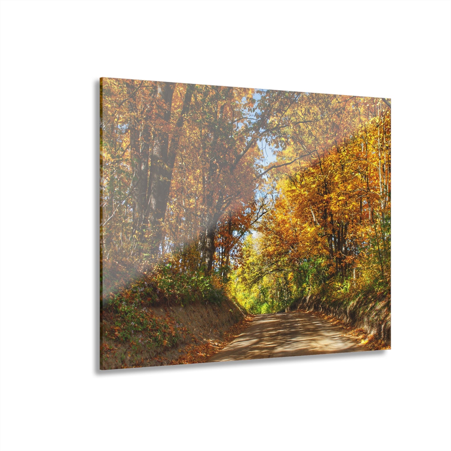 U R There Photography Harson Road in Fall I Rustic Farmhouse Acrylic Wall Print