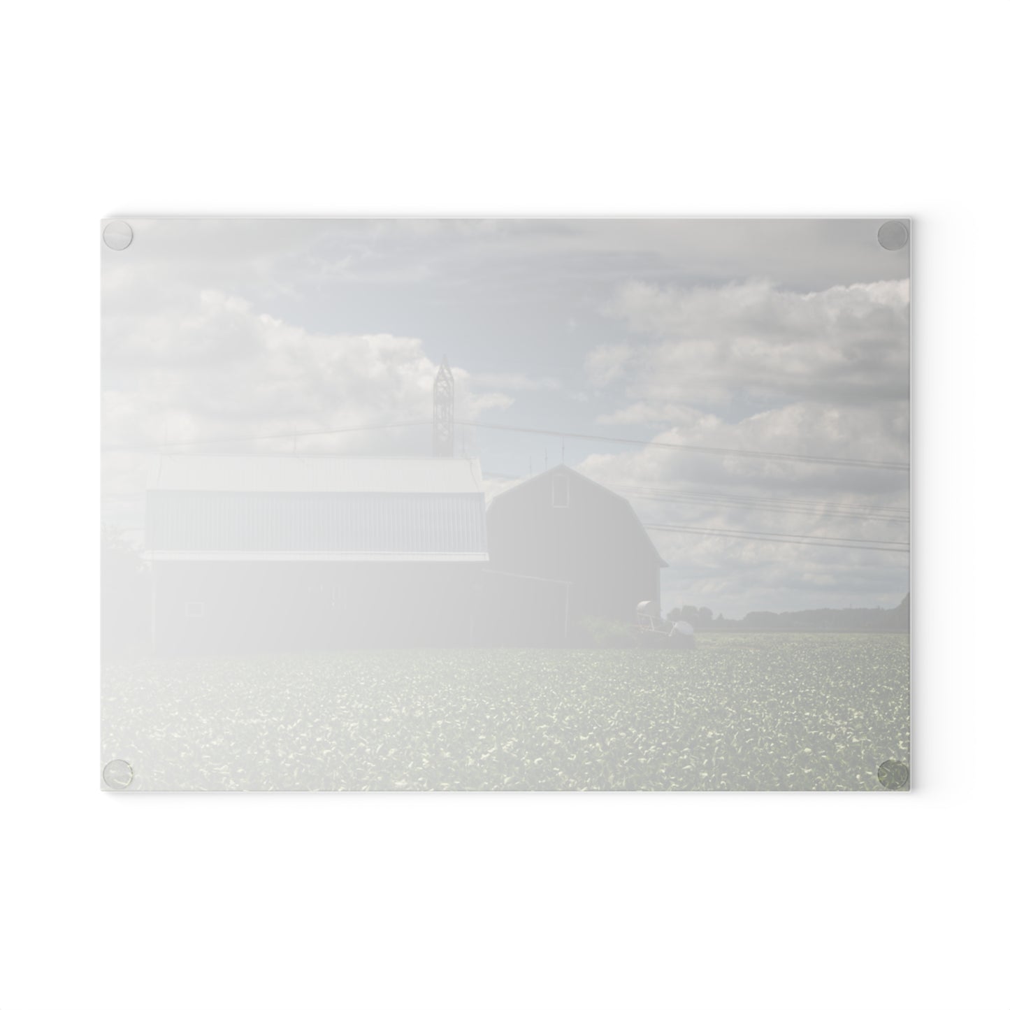 U R There Photography South Reese Road Reds Rustic Farmhouse Tempered-Glass Cutting Board