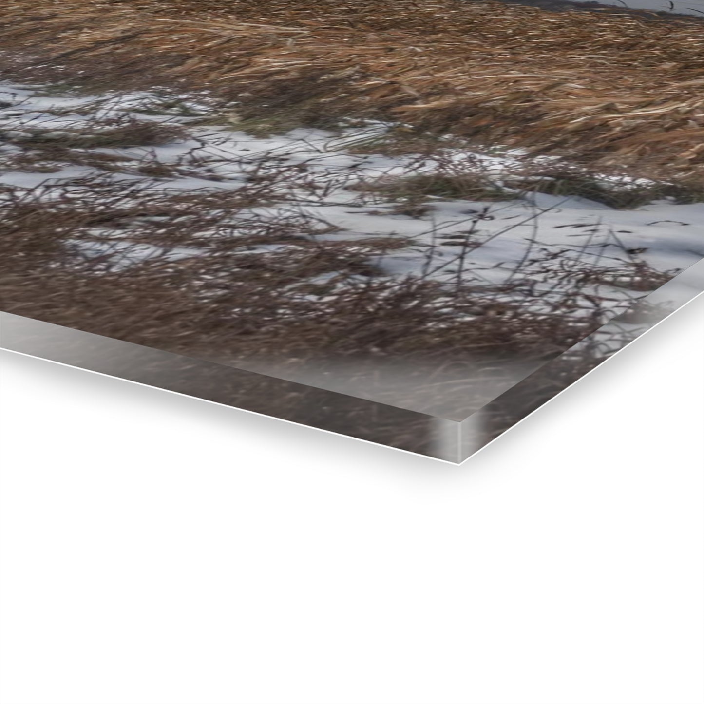 U R There Photography Edward Road Red Rustic Farmhouse Acrylic Wall Print