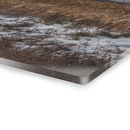 U R There Photography Edward Road Red Rustic Farmhouse Acrylic Wall Print