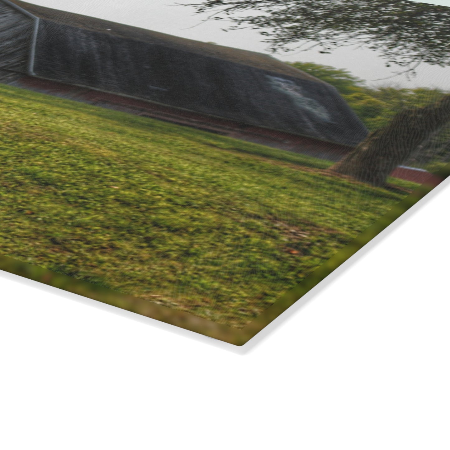 U R There Photography Hidden on Schott Road Rustic Farmhouse Tempered-Glass Cutting Board