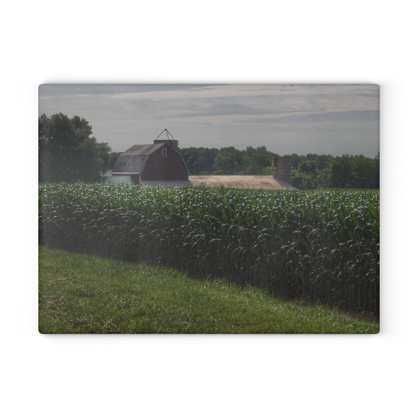 U R There Photography Above the Corn on Piersonville Road II Rustic Farmhouse Tempered-Glass Cutting Board