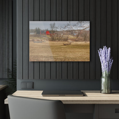 U R There Photography Beyond the Trees on Rock Valley Road Rustic Farmhouse Acrylic Wall Print