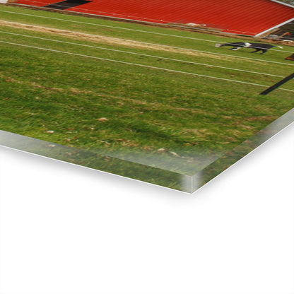 U R There Photography Fostoria Little Red Rustic Farmhouse Acrylic Wall Print