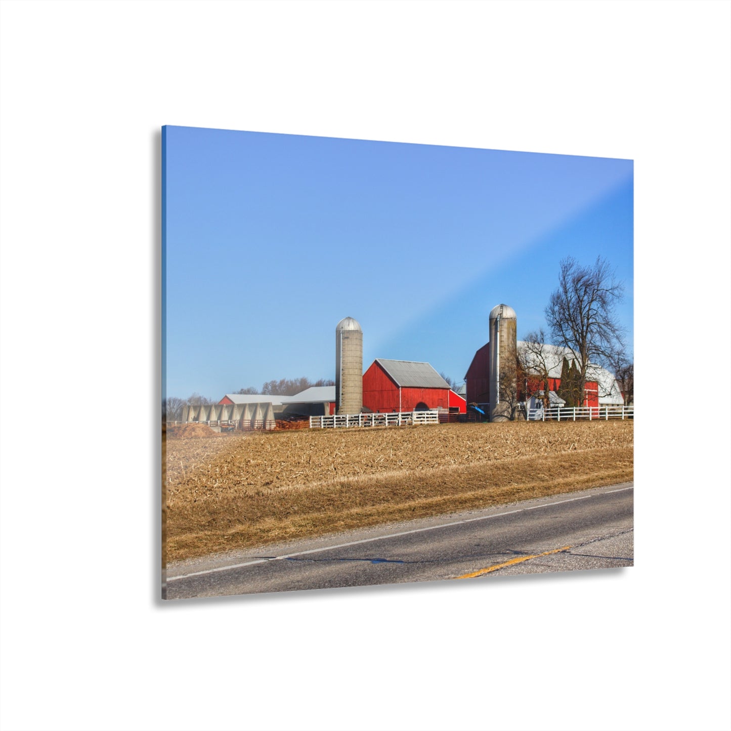 U R There Photography Marlette Reds Rustic Farmhouse Acrylic Wall Print