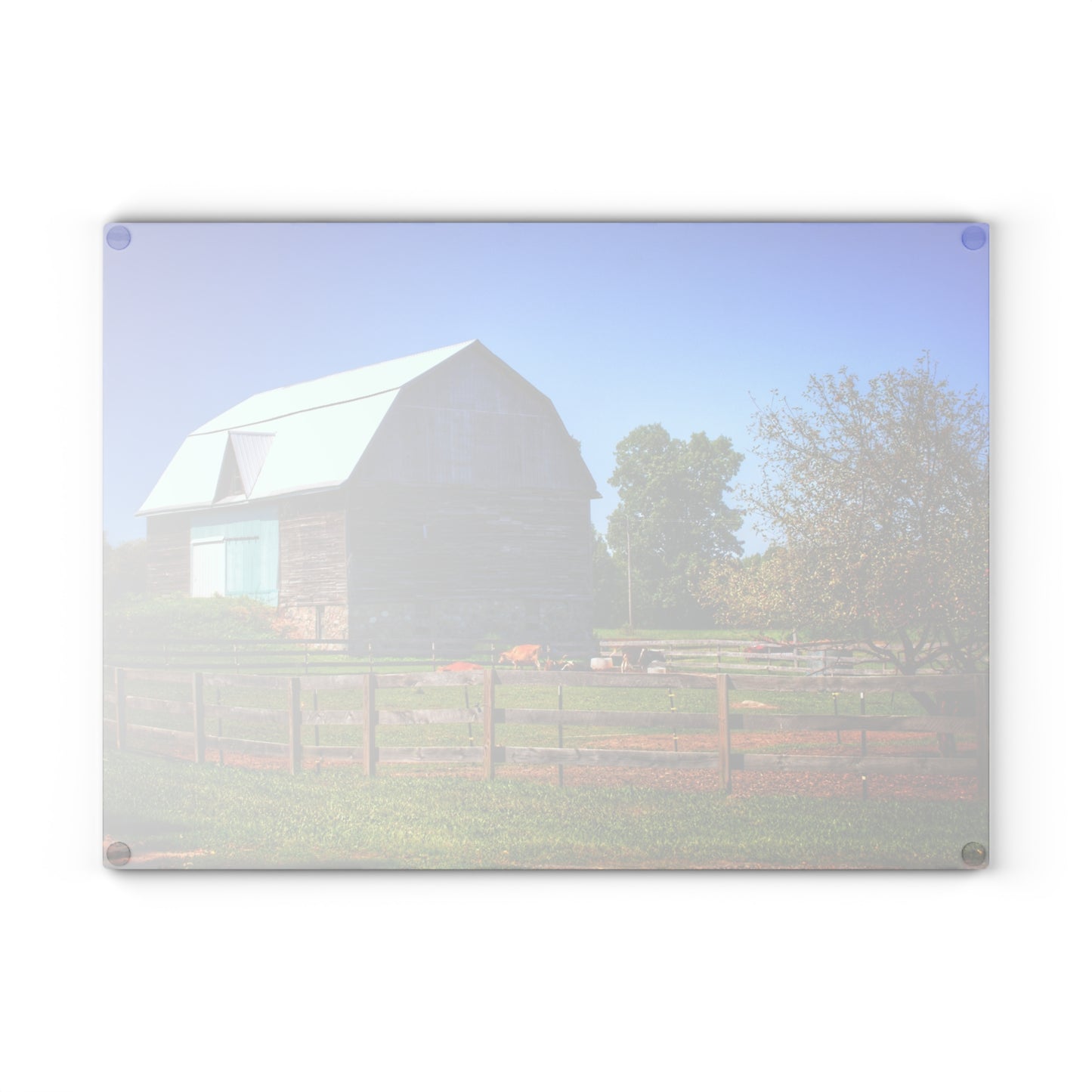 U R There Photography Harris Road Fieldstone Grey Rustic Farmhouse Tempered-Glass Cutting Board