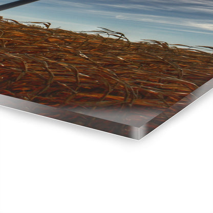 U R There Photography North Gera Road Windmill Rustic Farmhouse Acrylic Wall Print